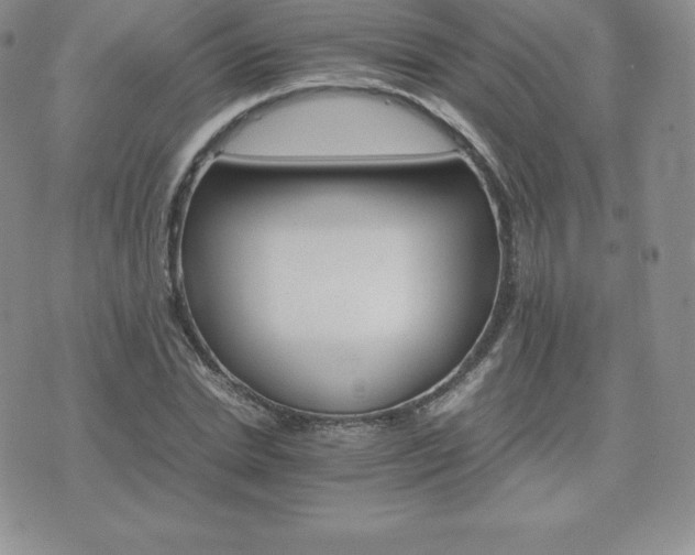 X0000075860830200609151224