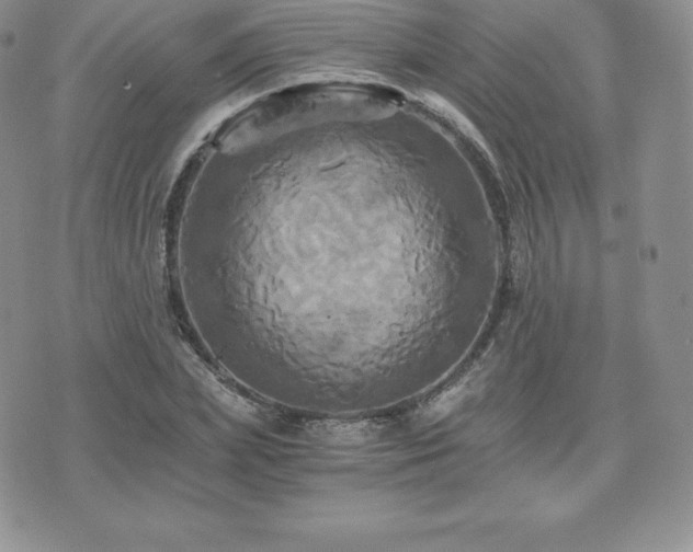 X0000075860831200609151224