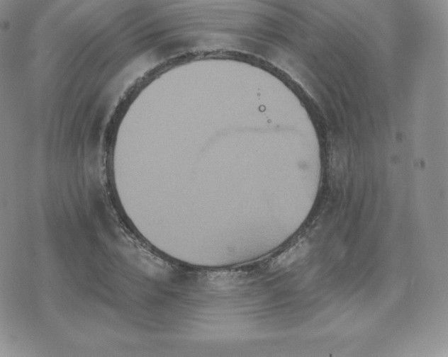 X0000075860832200609151224