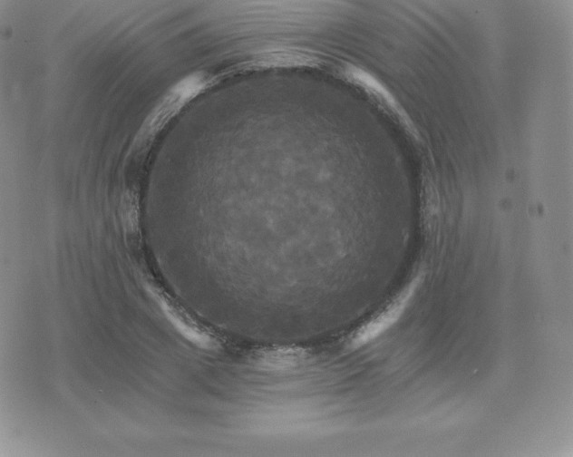 X0000075860833200609151224