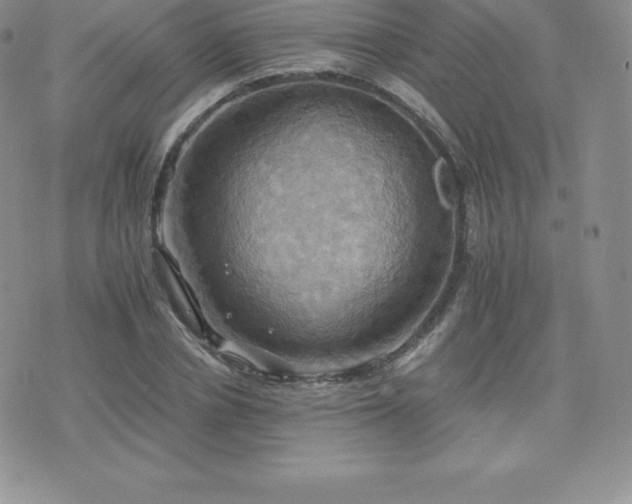 X0000075860834200609151224