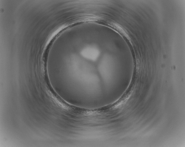 X0000075860835200609151224