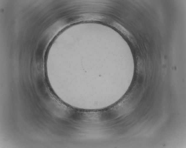 X0000075860836200609151224