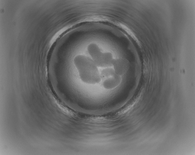 X0000075860837200609151224