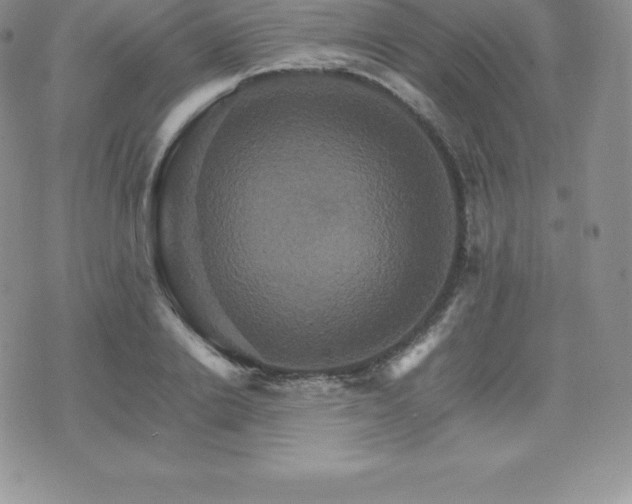 X0000075860838200609151224