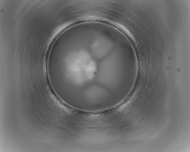 X0000075860839200609151224