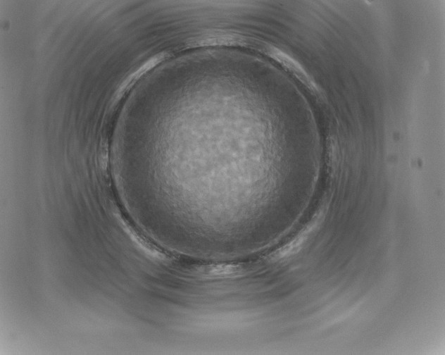 X0000075860841200609151224