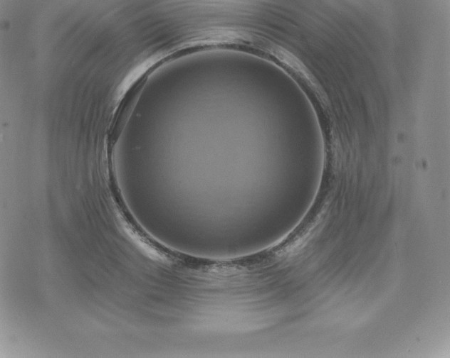 X0000075860842200609151224