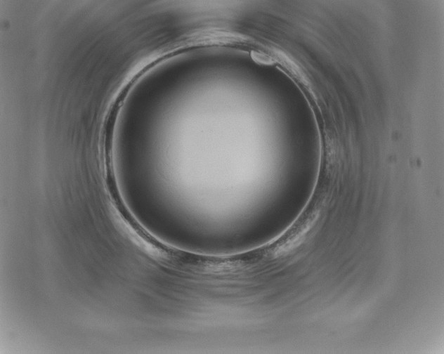 X0000075860843200609151224