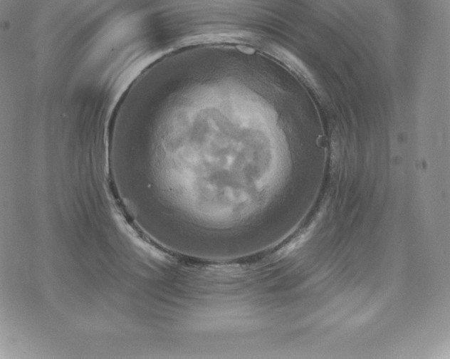 X0000075860844200609151224