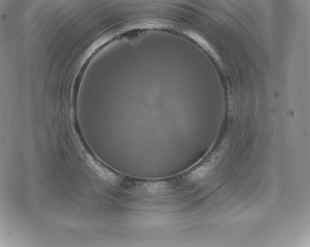 X0000075860845200609151224