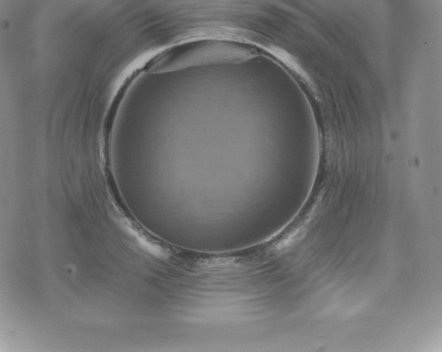 X0000075860846200609151224