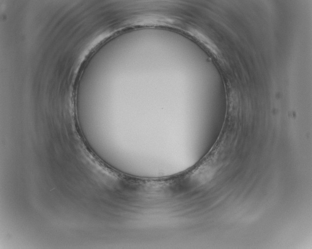 X0000075860848200609151224