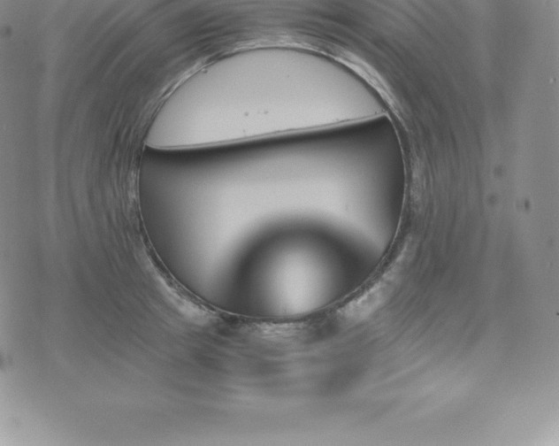 X0000075860849200609151224