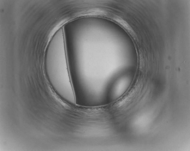 X0000075860850200609151224