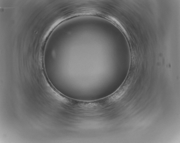 X0000075860851200609151224