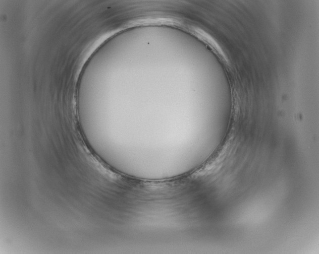 X0000075860852200609151224