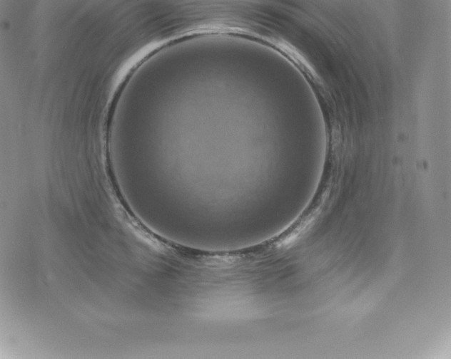 X0000075860854200609151224