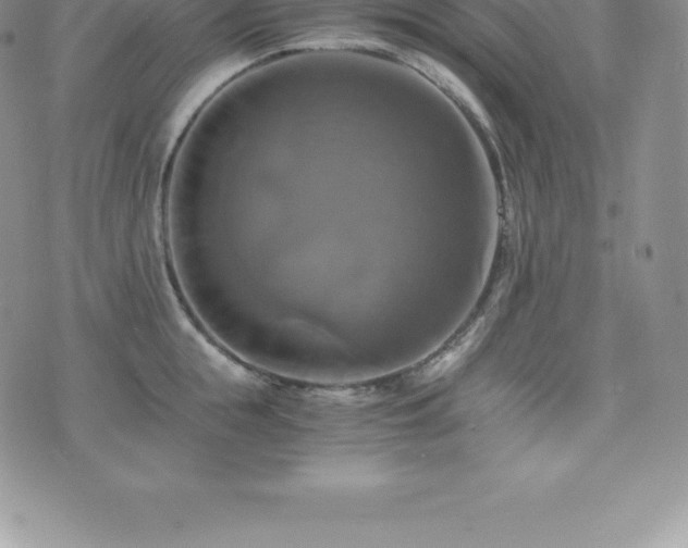 X0000075860855200609151224