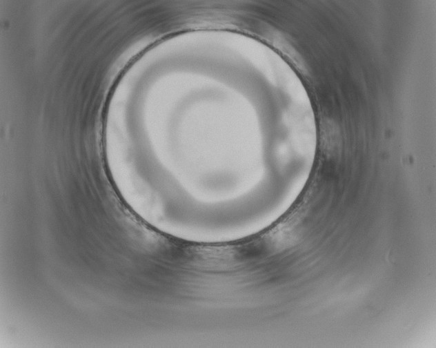 X0000075860856200609151224