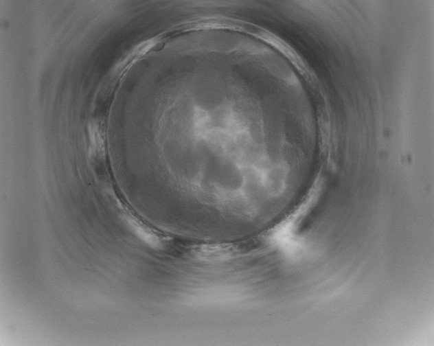 X0000075860857200609151224