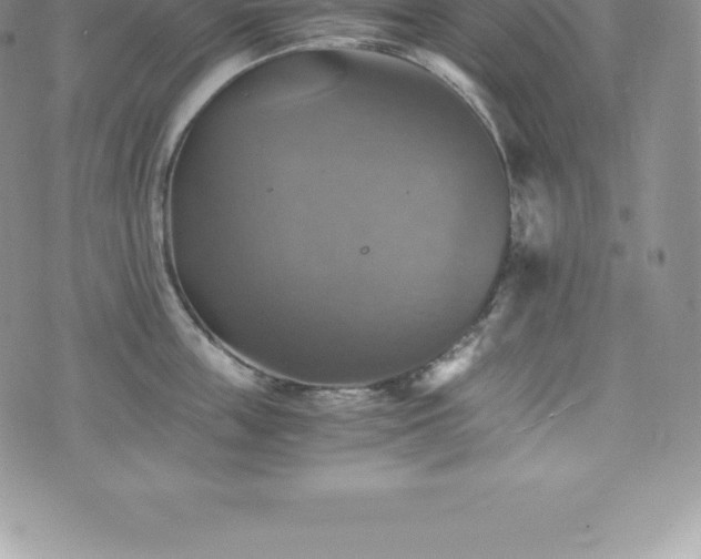 X0000075860859200609151224