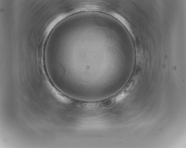 X0000075860861200609151224