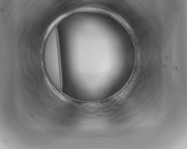 X0000075860862200609151224