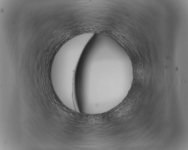 X0000075860865200609151223