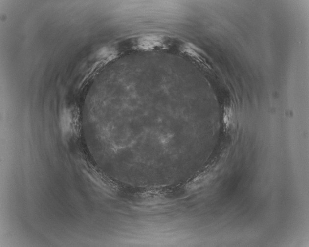 X0000075860867200609151223