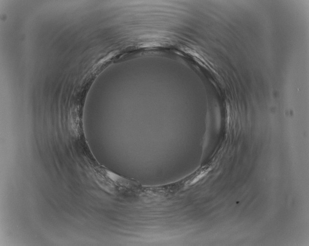 X0000075860868200609151223