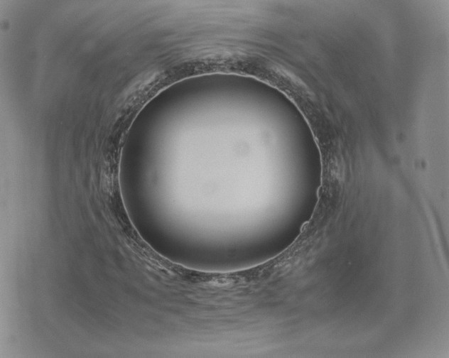 X0000075860869200609151223