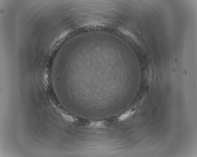 X0000075860870200609151223