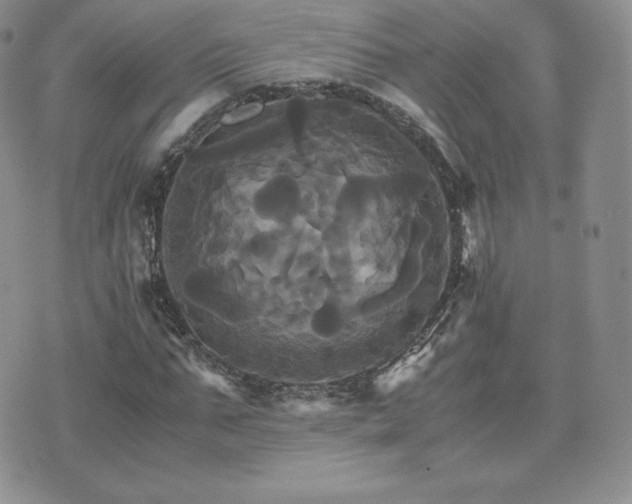 X0000075860871200609151223