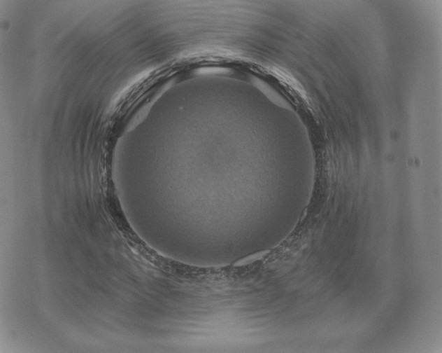 X0000075860872200609151223