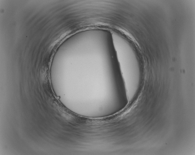 X0000075860873200609151223