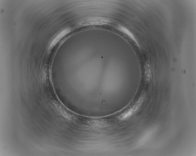 X0000075860874200609151223