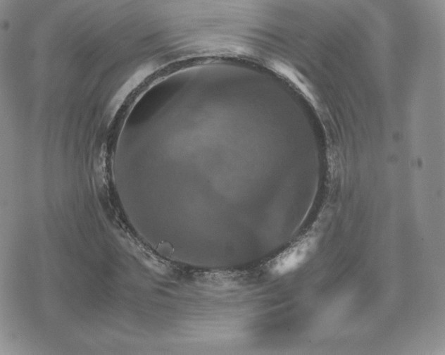 X0000075860875200609151223