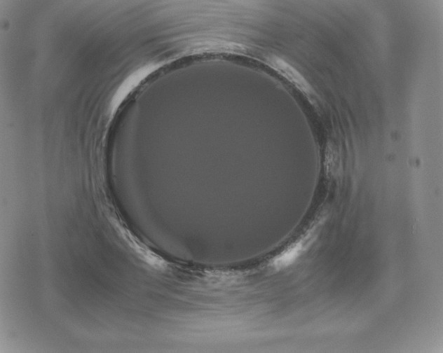 X0000075860877200609151223