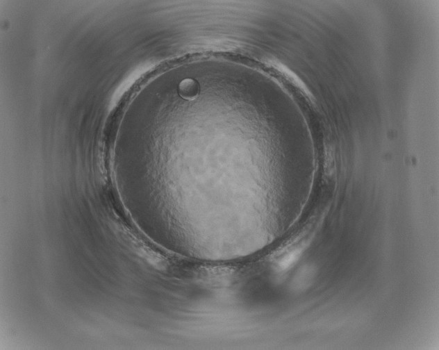 X0000075860878200609151223