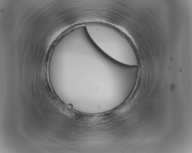 X0000075860879200609151223