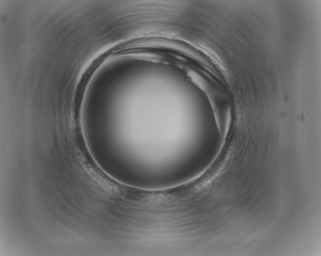 X0000075860880200609151223