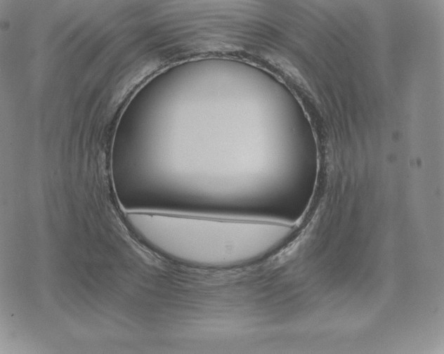 X0000075860881200609151223