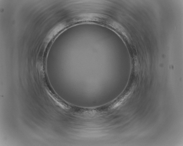 X0000075860882200609151223