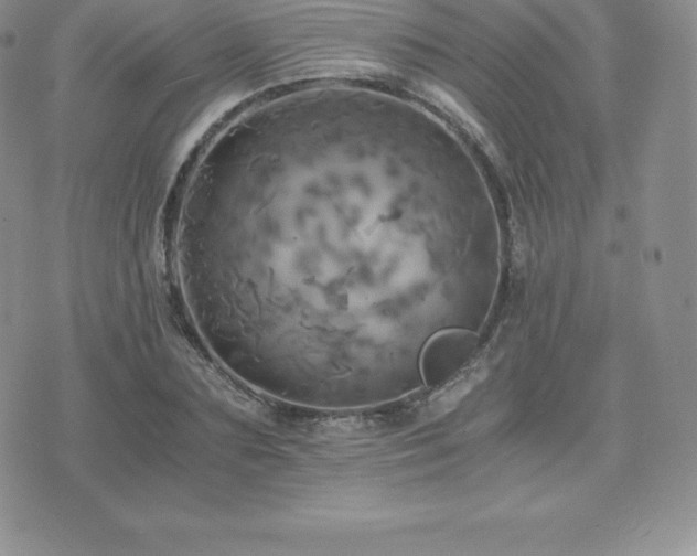 X0000075860883200609151223