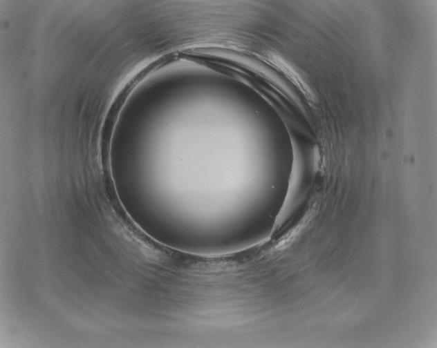 X0000075860884200609151223