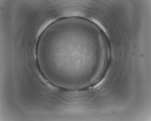 X0000075860885200609151223