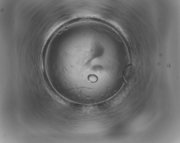 X0000075860887200609151223