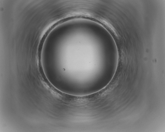 X0000075860888200609151223