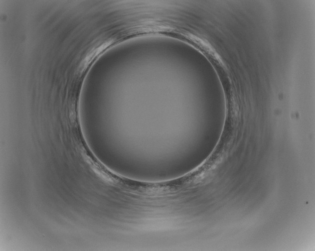 X0000075860889200609151223